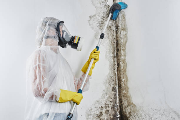 Water Damage Restoration in Holt, MI