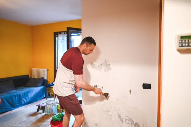Best Mold Removal Company Near Me  in Holt, MI
